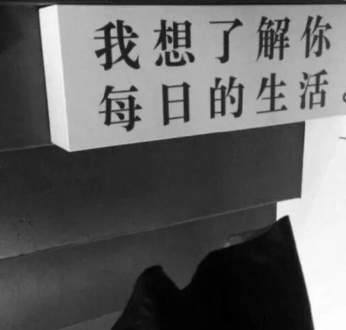  微信朋友圈背景图你是浪子别泊岸