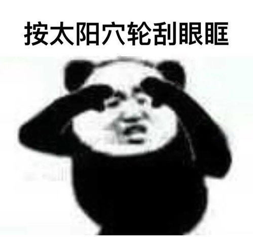 怂表情包熊猫戴美瞳