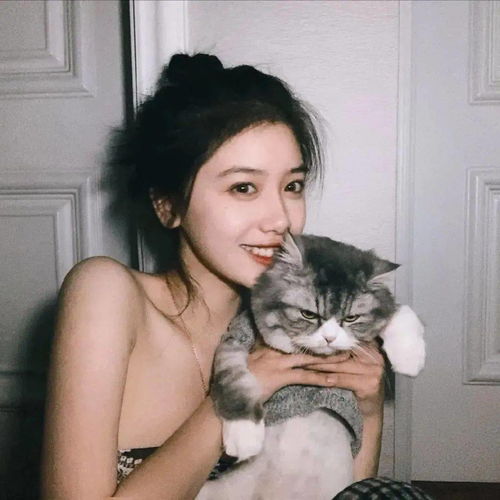  头像换个新头像,换个好心情头像