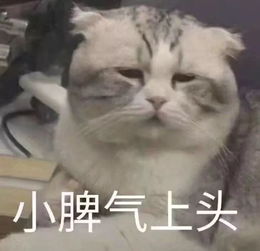  大学生还吃得起水果吗