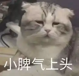  大学生还吃得起水果吗