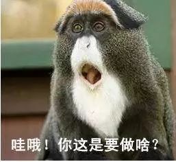  奇葩广西一酒驾男怕处罚太重,竟然企图慰问交警...