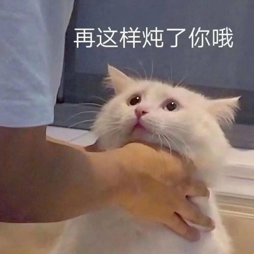  沙雕表情申请加入你的被窝