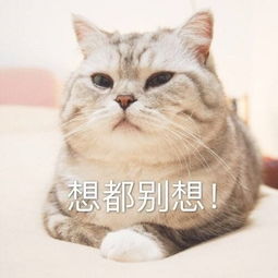  为什么你的春招面试屡屡失利