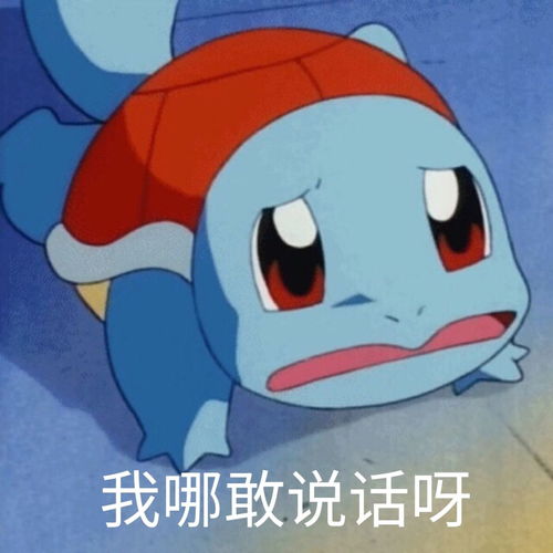  龙王岛明日起对外开放快来看看改造后的龙王岛多了哪些好玩的地方