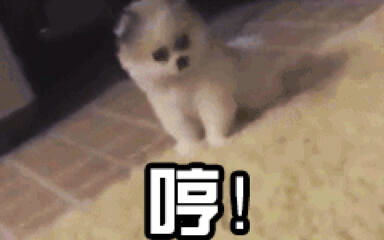  非常鬼畜