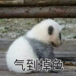  生气真的会导致中毒小伙和女友吵完架手指硬成鸡爪生气带给身体的6大变化,你都知道吗