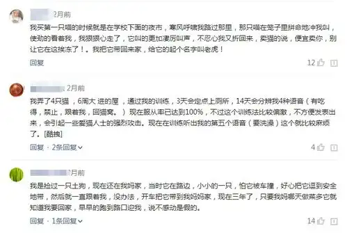  宠物店小猫握住网友的手带我走,当网友手抽回时猫咪表情扎心
