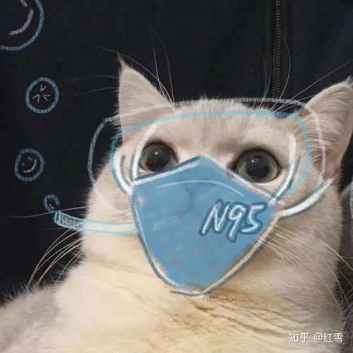  80天的记载