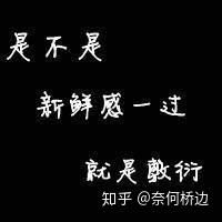 人生哲理文字微信头像