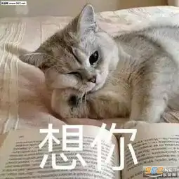  有吃的吗请问可爱表情包电死你个小可爱喵咪表情包下载乐游网游戏下载