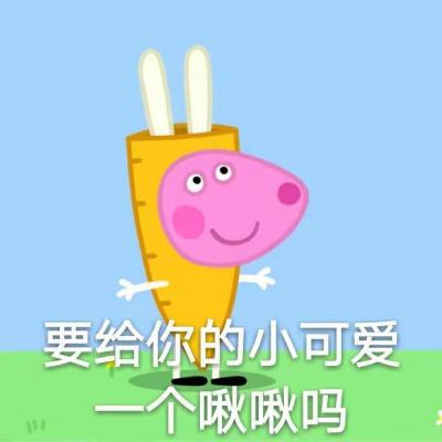 最火表情包全套小猪