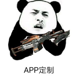  外包软件报价厂家