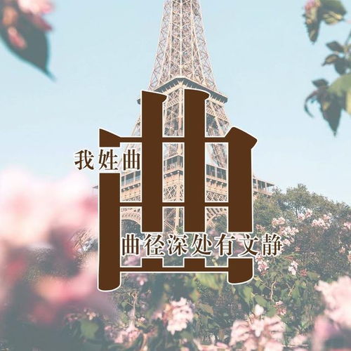  用你姓氏制作的微信头像,太美了,进来看看有没有你的姓氏