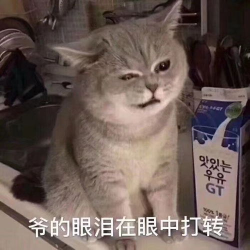  嗨呀打王者气到胸闷