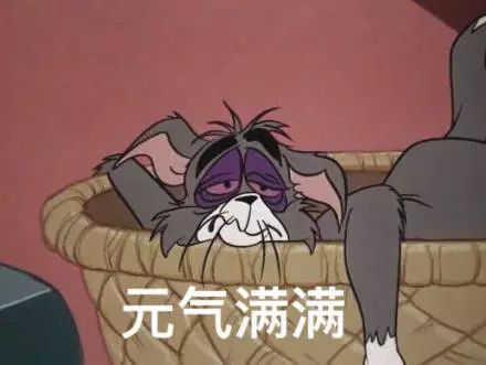 汤姆猫看报纸表情包魔镜
