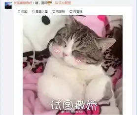  那些会翻垃圾桶的狗狗,你家的中招了吗