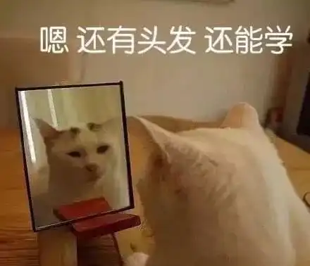  福利讲座sci审稿人告诉你选刊投稿套路本科生也可以轻松发论文