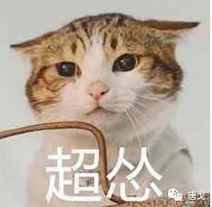  肥唐说女子打碎30万手镯当场吓晕,说了没钱别碰