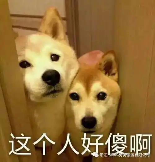 世界正美丽有一份工作拥抱你的世界