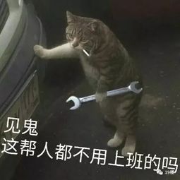  青岛一场电影要价300元复联4预售被抢空