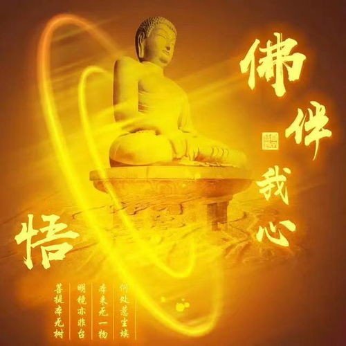 独一无二的佛字微信头像