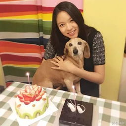  张梓琳给女儿读信愿你慢慢长大,暖化朋友圈,网友这才是真正的女神