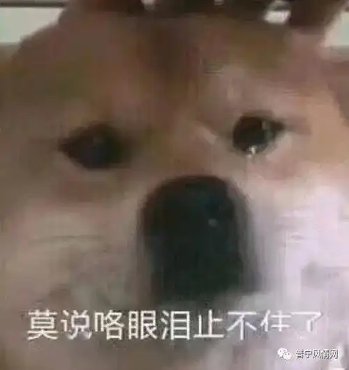  震惊全网潮汕某酒店纯爱战神吃瓜事件