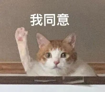  为了让孩子睡足9小时,深外初中部这么做点赞