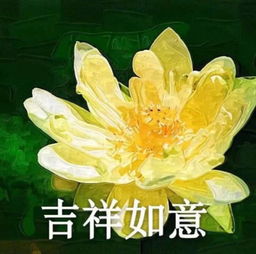 寓意好的老人头像
