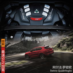可以用四叶草当头像吗罗