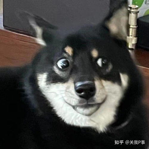  身高170以上如何成为甜妹