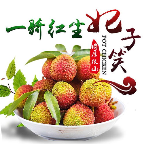  采果季当夏天遇见荔枝