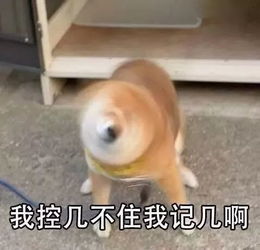  送给学生考研,你真的想好了吗