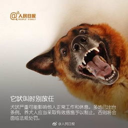  痛心妈妈送上学刚转身,9岁女童被恶犬锁喉殒命