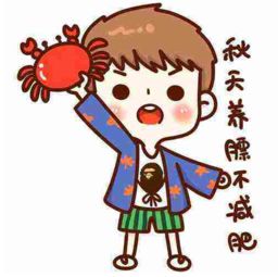  养膘什么意思