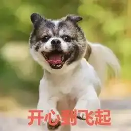  你家狗的表情包值上千块钱还有这好事儿