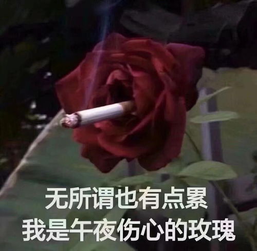  pixelark我的世界像素方舟服务器