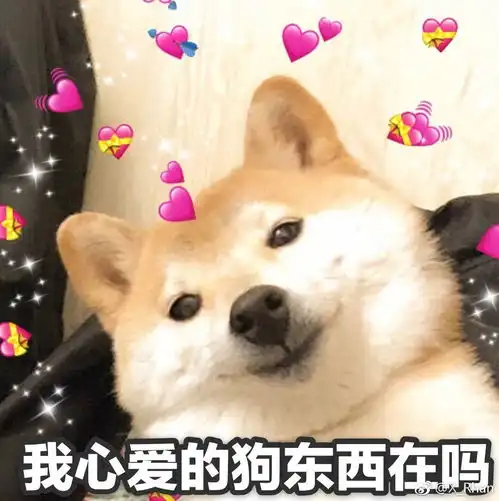  3003必赢贵宾会注册ft中文网ft中文网