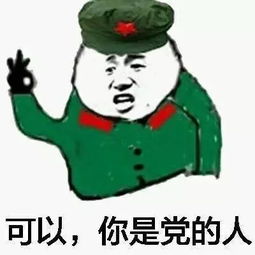  还在看表情包