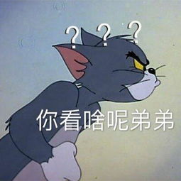  斗图表情包合集我正在忙,一会再说