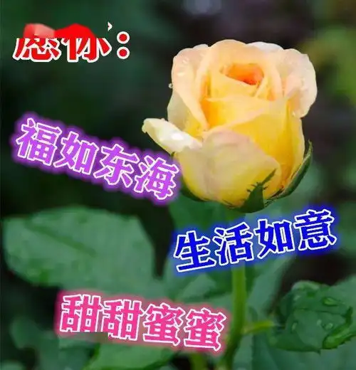  最新周二早上好漂亮图片表情包问候语,祝你吉祥万事如意天天快乐