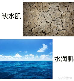  为什么肌肤一直在漏水女人护肤不能不懂自愈能力