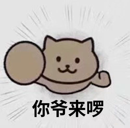  表情包沙雕表情包1617期