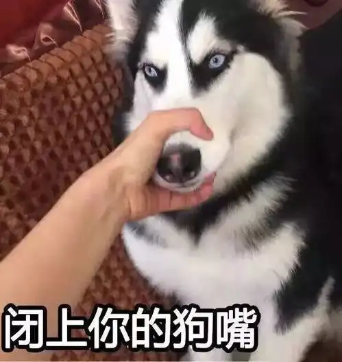  我老婆一天不到两块钱
