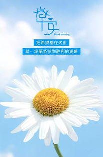  腾辉传媒早安心语人生的路,自己去书写
