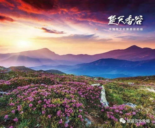  黄石十大最好玩的地方黄石哪里好玩黄石好玩的景点推荐