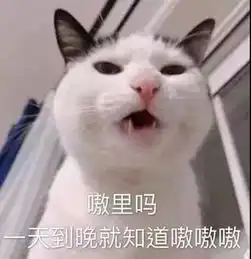  表情包丨嘘,我来偷哥哥的心了