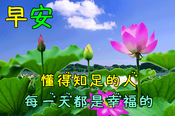  新的一天2022超漂亮早安问候语图片带字温馨2022早上好温馨图片带字