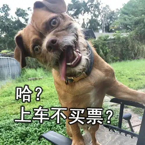  搞笑表情包一只与权利的游戏中小恶魔撞脸的狗狗,要取代了小恶魔了